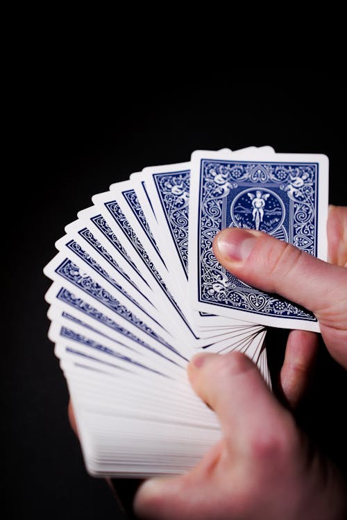 Api88 Judi Online: Tips & Trik Bermain